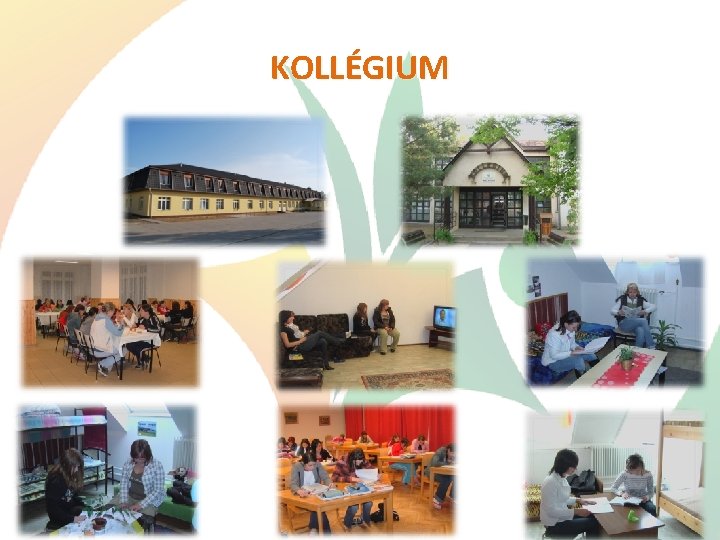 KOLLÉGIUM 