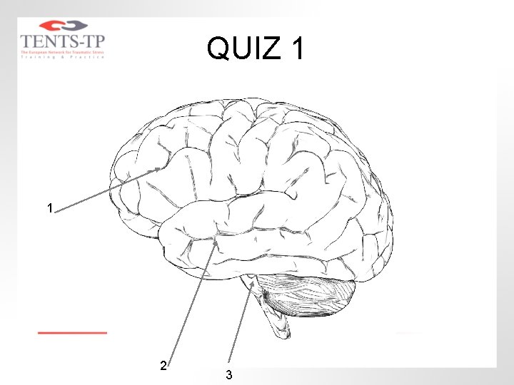 QUIZ 1 1 2 3 