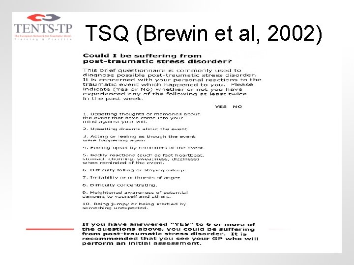 TSQ (Brewin et al, 2002) 