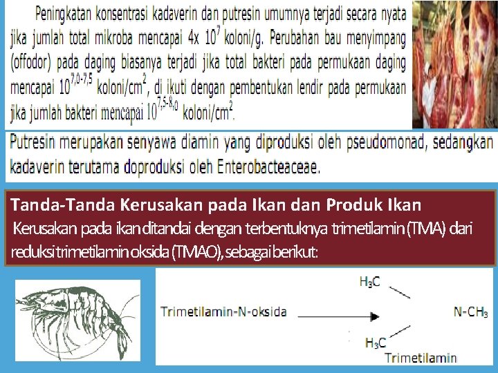 Tanda-Tanda Kerusakan pada Ikan dan Produk Ikan Kerusakan pada ikanditandai dengan terbentuknya trimetilamin(TMA) dari