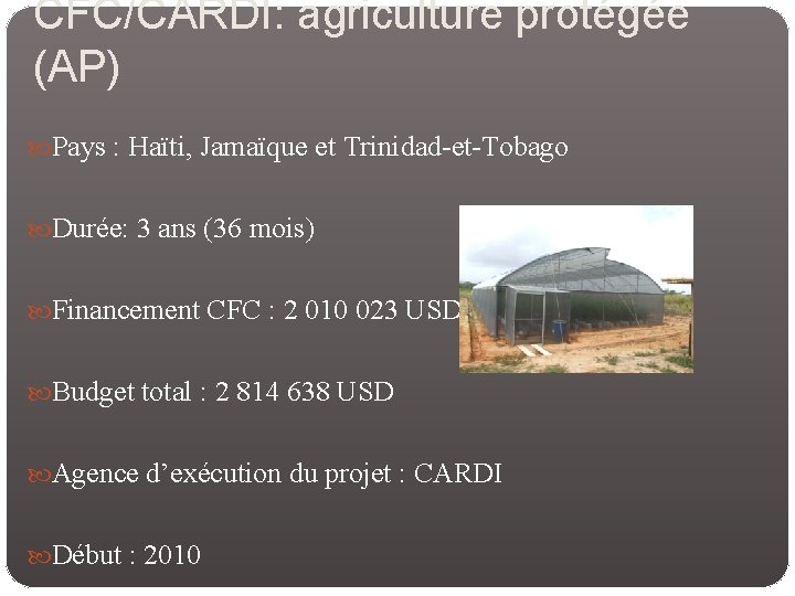 CFC/CARDI: agriculture protégée (AP) Pays : Haïti, Jamaïque et Trinidad-et-Tobago Durée: 3 ans (36
