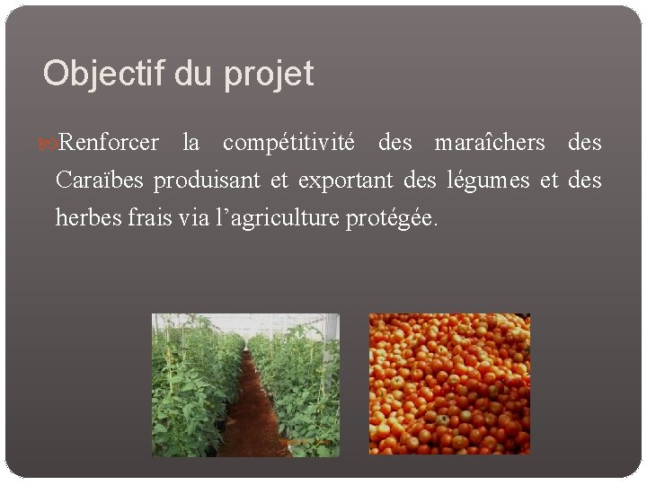 Objectif du projet Renforcer la compétitivité des maraîchers des Caraïbes produisant et exportant des