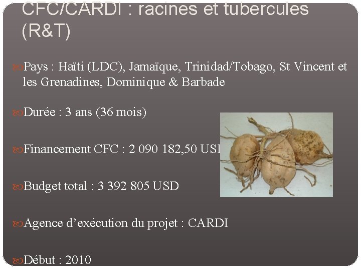 CFC/CARDI : racines et tubercules (R&T) Pays : Haïti (LDC), Jamaïque, Trinidad/Tobago, St Vincent