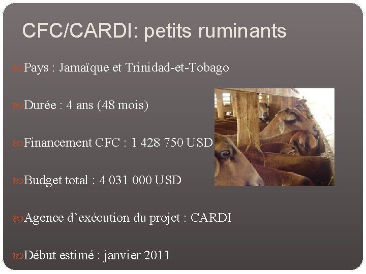 CFC/CARDI: petits ruminants Pays : Jamaïque et Trinidad-et-Tobago Durée : 4 ans (48 mois)