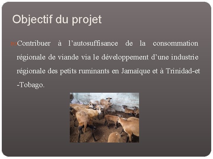 Objectif du projet Contribuer à l’autosuffisance de la consommation régionale de viande via le