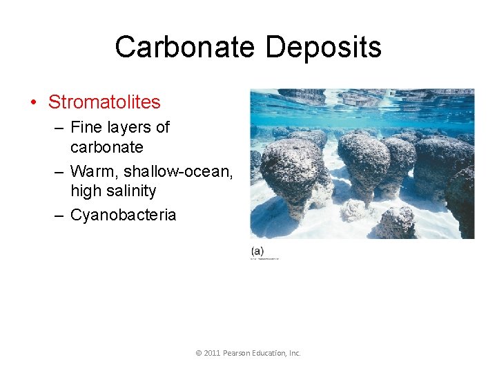 Carbonate Deposits • Stromatolites – Fine layers of carbonate – Warm, shallow-ocean, high salinity
