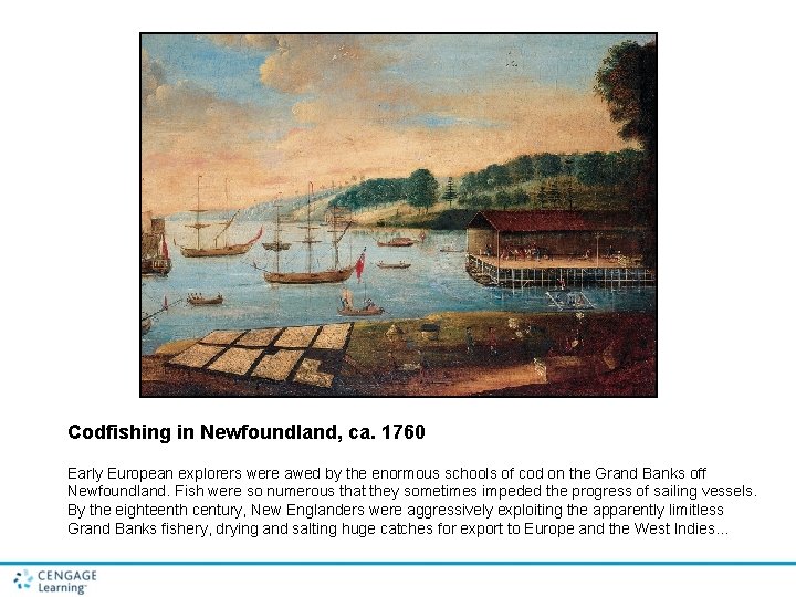 Codfishing in Newfoundland, ca. 1760 Early European explorers were awed by the enormous schools