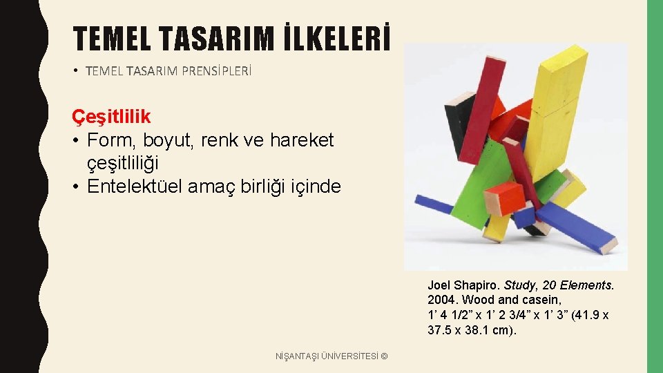 TEMEL TASARIM İLKELERİ • TEMEL TASARIM PRENSİPLERİ Çeşitlilik • Form, boyut, renk ve hareket