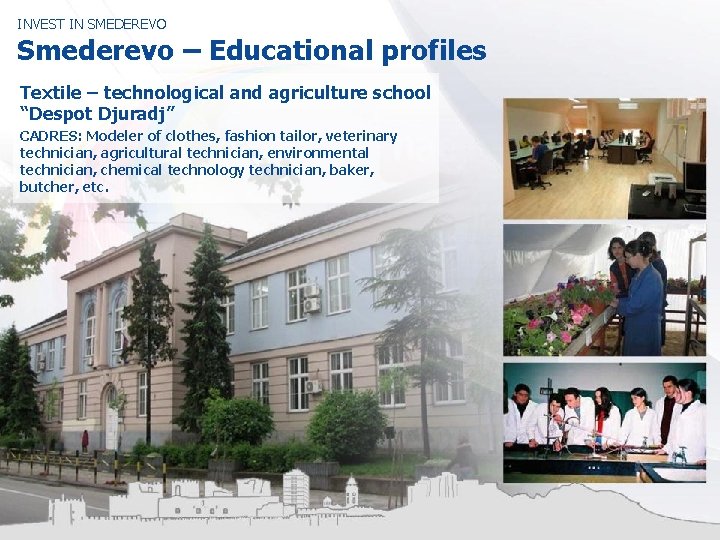 INVEST IN SMEDEREVO Smederevo – Educational profiles Textile – technological and agriculture school “Despot