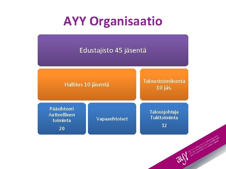 AYY Organisaatio Edustajisto 45 jäsentä Hallitus 10 jäsentä Pääsihteeri Aatteellinen toiminta 20 Vapaaehtoiset Taloustoimikunta