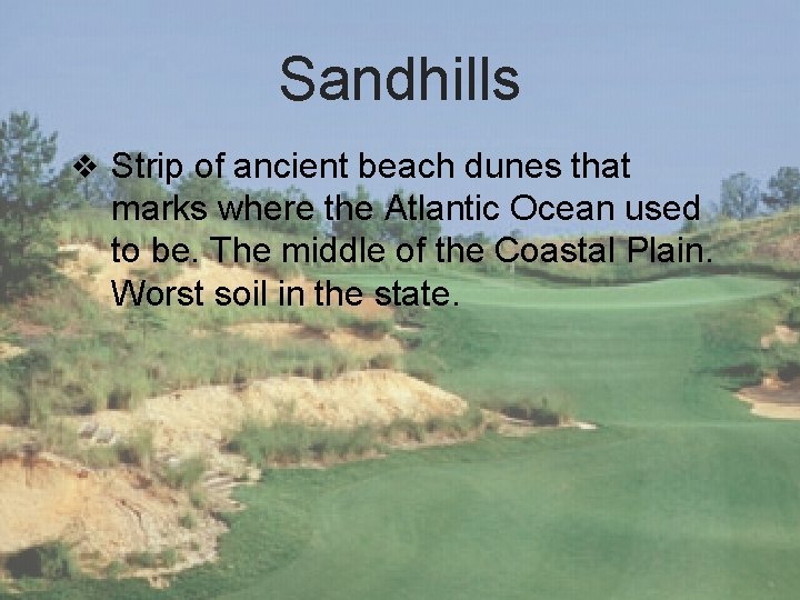 Sandhills v Strip of ancient beach dunes that marks where the Atlantic Ocean used