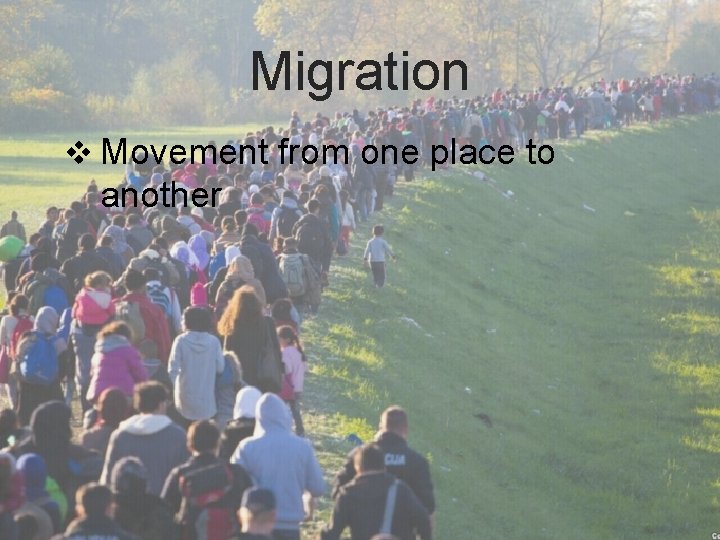 Migration v Movement from one place to another 