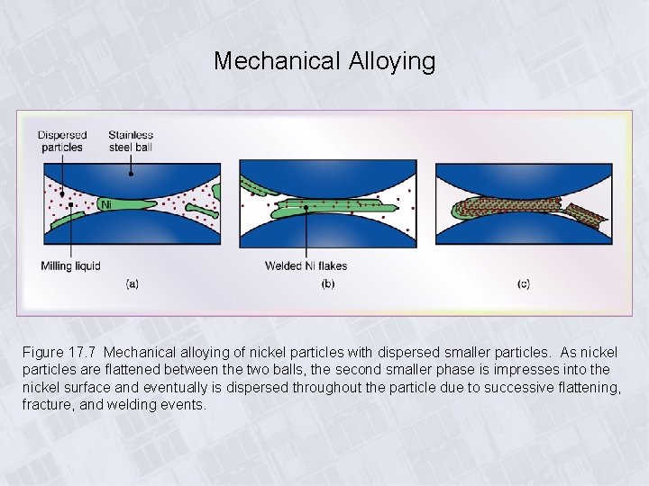 Mechanical Alloying Figure 17. 7 Mechanical alloying of nickel particles with dispersed smaller particles.