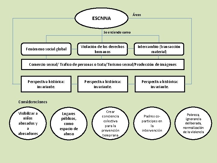 ESCNNA Áreas Se entiende como Fenómeno social global Violación de los derechos humanos Intercambio