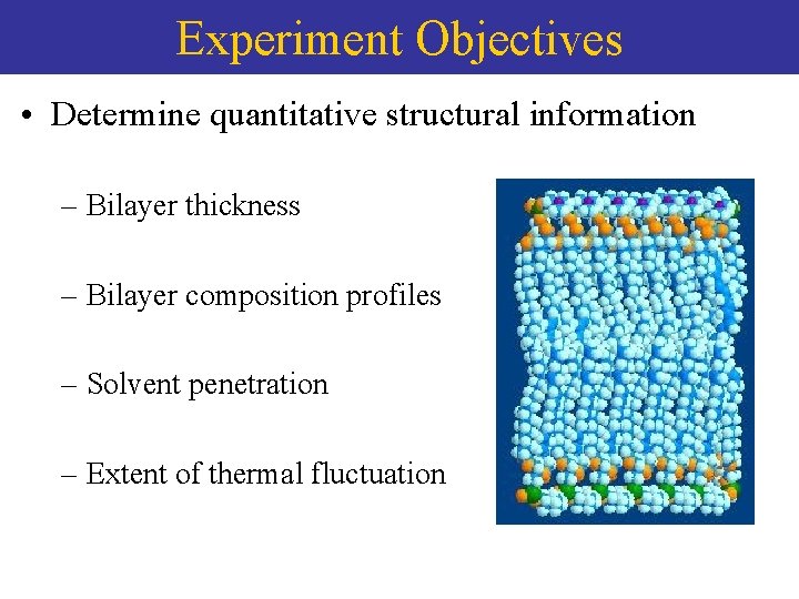 Experiment Objectives • Determine quantitative structural information – Bilayer thickness – Bilayer composition profiles