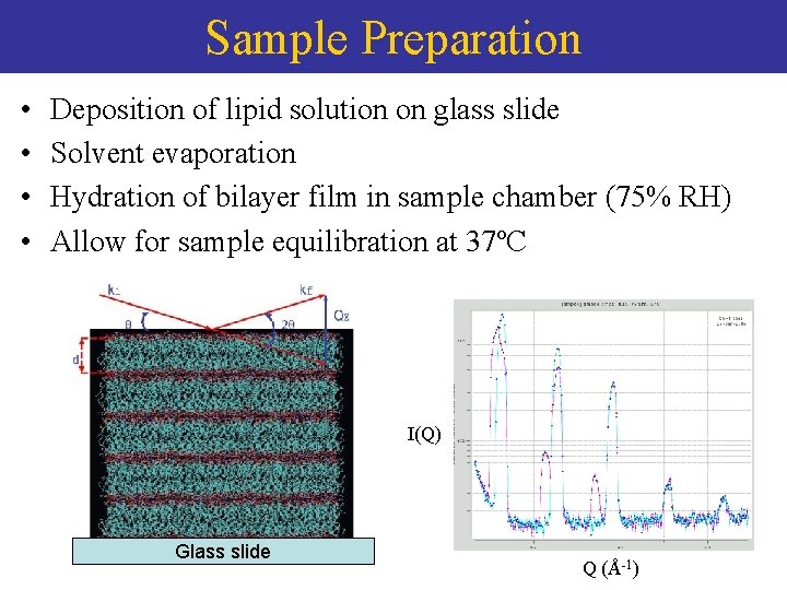 Sample Preparation • • Deposition of lipid solution on glass slide Solvent evaporation Hydration