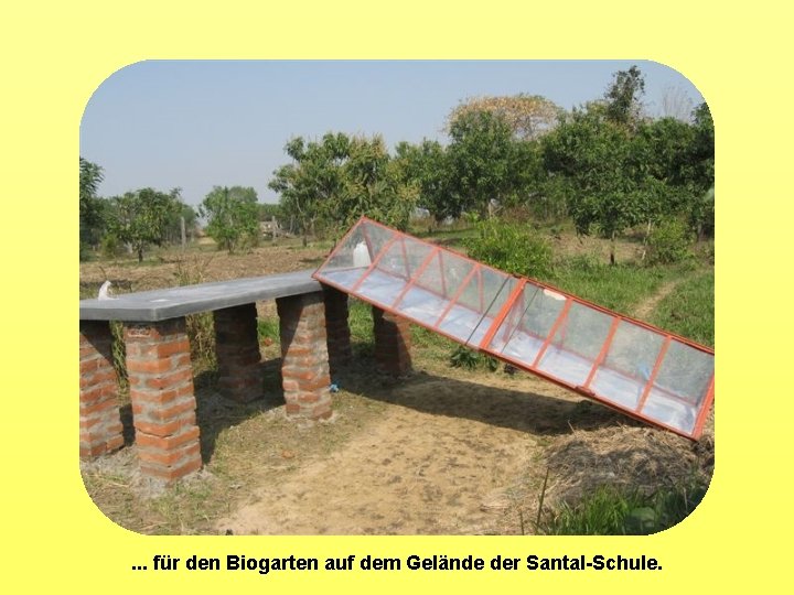 . . . für den Biogarten auf dem Gelände der Santal-Schule. 