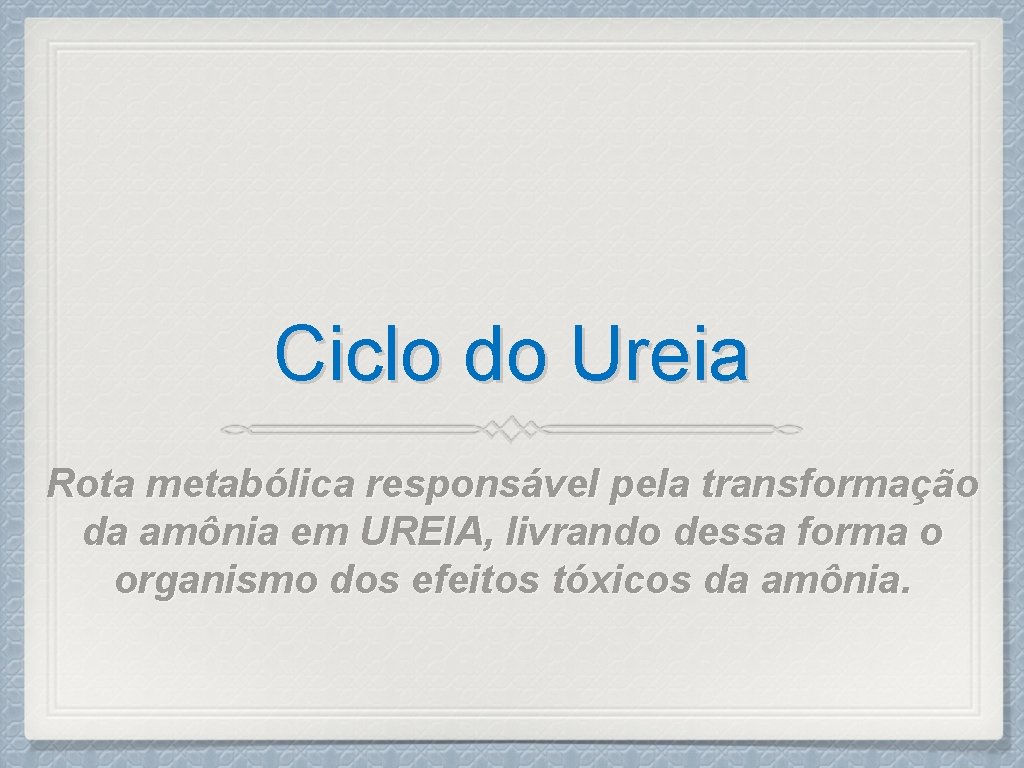 Ciclo do Ureia Rota metabólica responsável pela transformação da amônia em UREIA, livrando dessa