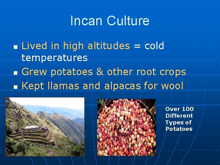 Incan Culture n n n Lived in high altitudes = cold temperatures Grew potatoes