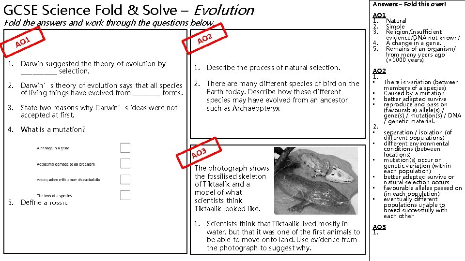 GCSE Science Fold & Solve – Evolution Fold the answers and work through the