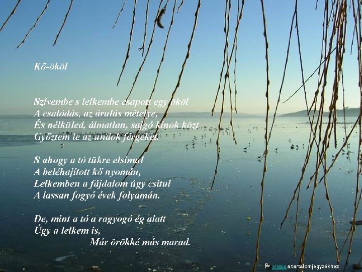  vissza a tartalomjegyzékhez 