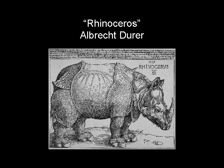 “Rhinoceros” Albrecht Durer 