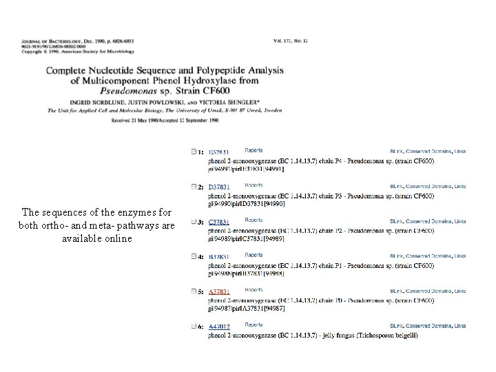 The sequences of the enzymes for both ortho- and meta- pathways are available online