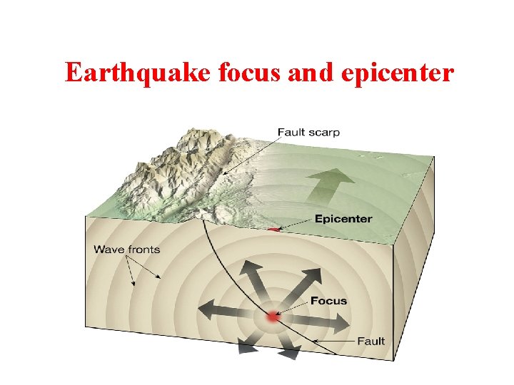 Earthquake focus and epicenter 