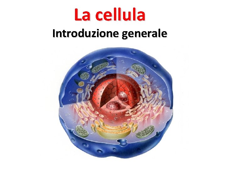 La cellula Introduzione generale 