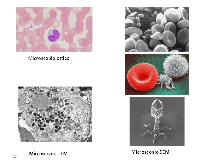 Microscopio ottico 10 Microscopio TEM Microscopio SEM 