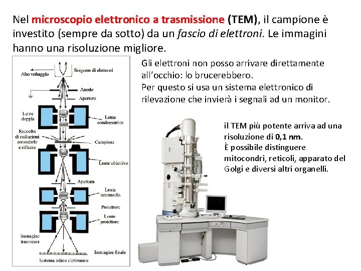 Nel microscopio elettronico a trasmissione (TEM), il campione è investito (sempre da sotto) da