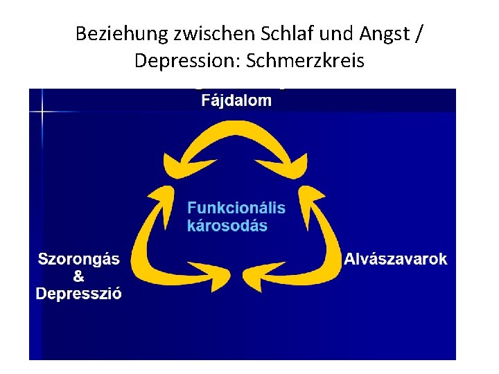 Beziehung zwischen Schlaf und Angst / Depression: Schmerzkreis 