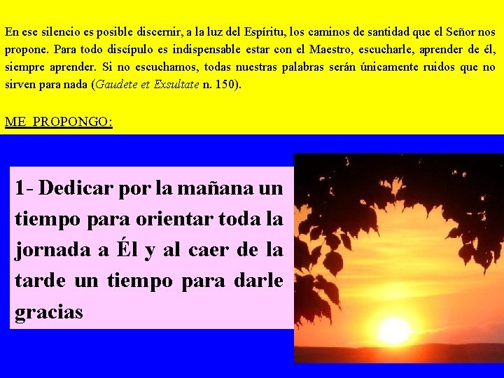 En ese silencio es posible discernir, a la luz del Espíritu, los caminos de