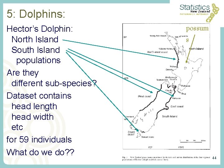 5: Dolphins: Hector’s Dolphin: North Island South Island populations Are they different sub-species? Dataset 5: Dolphins: Hector’s Dolphin: North Island South Island populations Are they different sub-species? Dataset