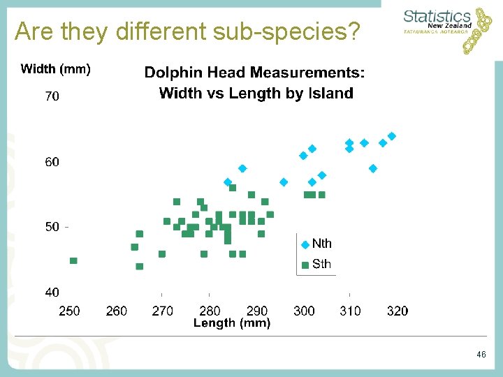 Are they different sub-species? 46 Are they different sub-species? 46