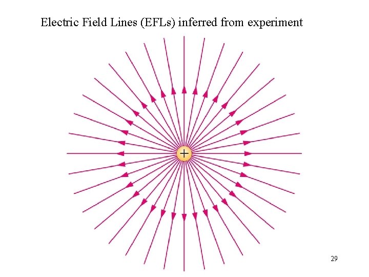 Electric Field Lines (EFLs) inferred from experiment 29 