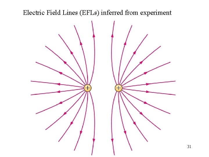 Electric Field Lines (EFLs) inferred from experiment 31 
