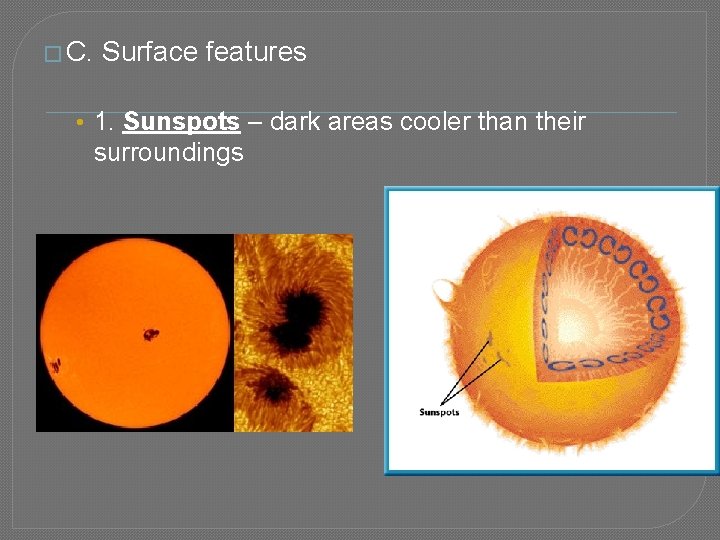 � C. Surface features • 1. Sunspots – dark areas cooler than their surroundings