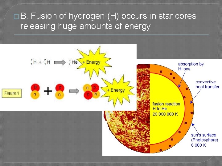 � B. Fusion of hydrogen (H) occurs in star cores releasing huge amounts of