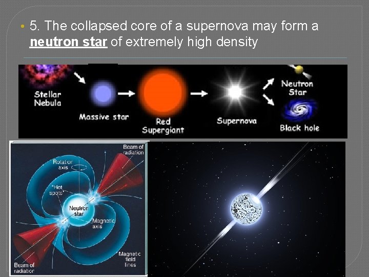  • 5. The collapsed core of a supernova may form a neutron star