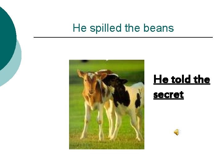 He spilled the beans He told the secret 