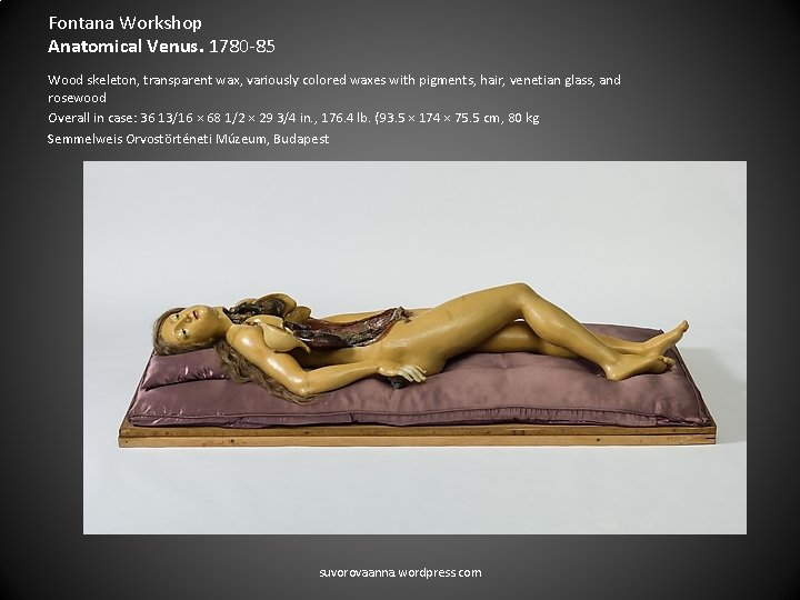 Fontana Workshop Anatomical Venus. 1780 -85 Wood skeleton, transparent wax, variously colored waxes with