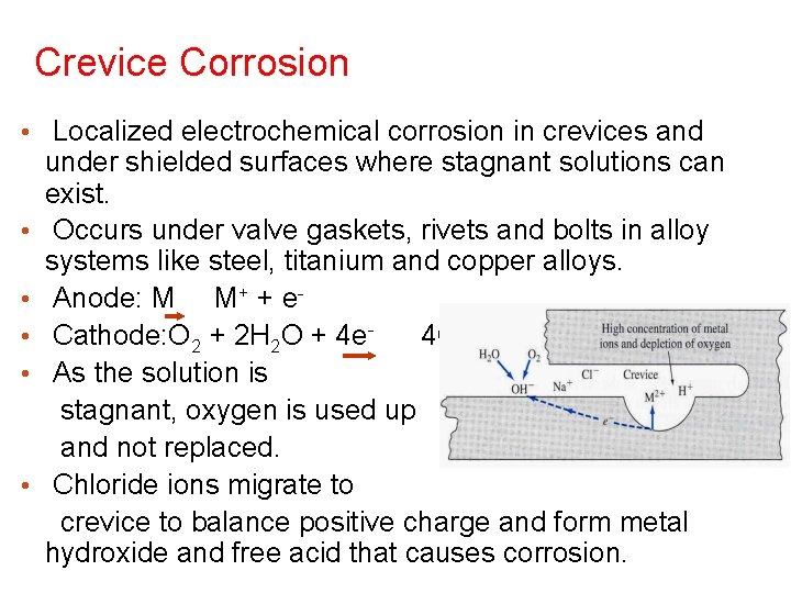 Crevice Corrosion • Localized electrochemical corrosion in crevices and • • • under shielded