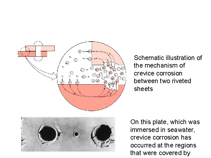 Schematic illustration of the mechanism of crevice corrosion between two riveted sheets On this