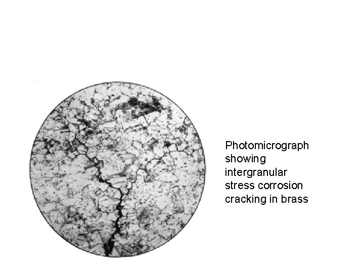 Photomicrograph showing intergranular stress corrosion cracking in brass 