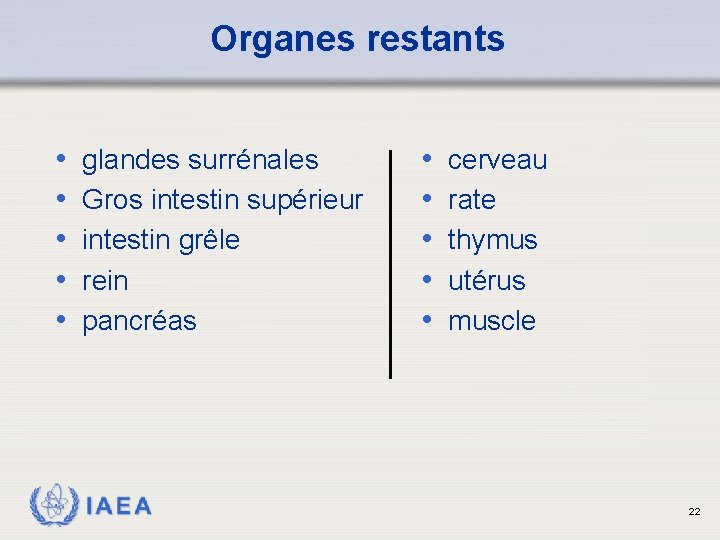 Organes restants • • • glandes surrénales Gros intestin supérieur intestin grêle rein pancréas