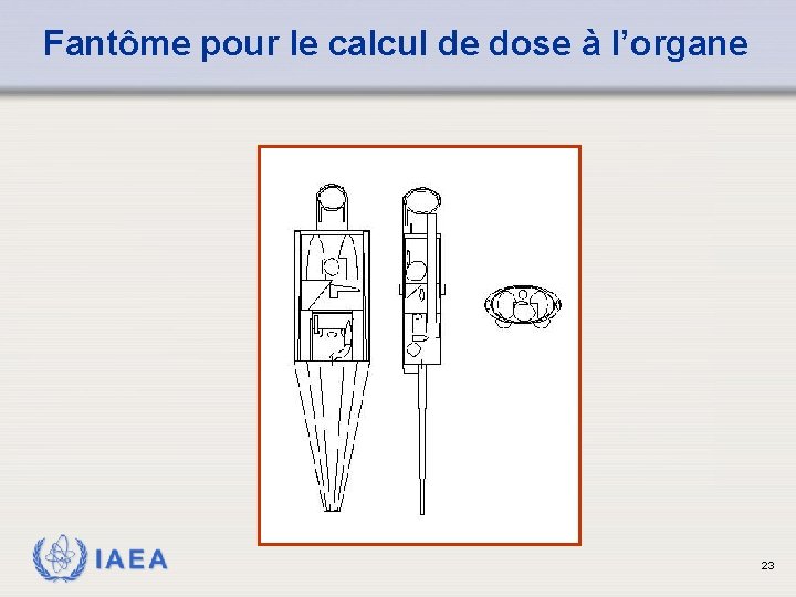 Fantôme pour le calcul de dose à l’organe IAEA 23 