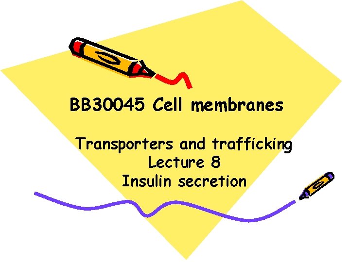 BB 30045 Cell membranes Transporters and trafficking Lecture 8 Insulin secretion 