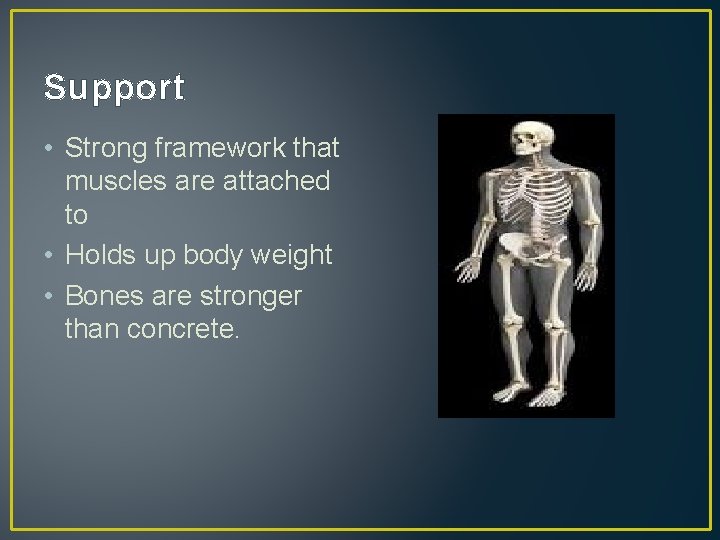 Supported Body MT 2 Evidence Jose L Barba The five