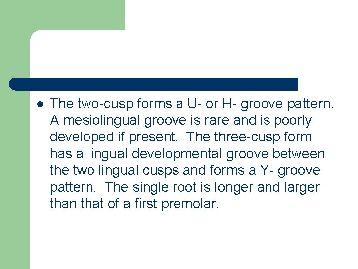l The two-cusp forms a U- or H- groove pattern. A mesiolingual groove is